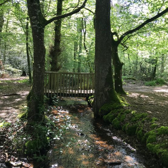 Nature - Site officiel de la ville de Liffré