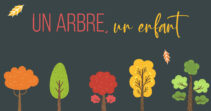 un arbre