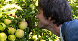 25-11-21 la pomme c'est délicieux